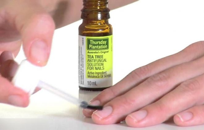tree tea oil